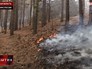 Лесной пожар в Иркутской области Лесной пожар в Иркутской области