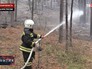 Лесной пожар в Иркутской области Лесной пожар в Иркутской области
