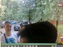Грабители на кадрах видеонаблюдения Грабители на кадрах видеонаблюдения