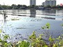 Берег Москва-реки Берег Москва-реки