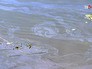 Нефтяное пятно на поверхности воды Нефтяное пятно на поверхности воды