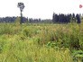 Лесная опушка Лесная опушка