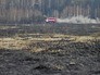 Последствия лесных пожаров Последствия лесных пожаров