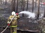 Тушение лесного пожара Тушение лесного пожара