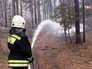 Тушение лесного пожара Тушение лесного пожара
