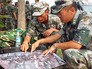 Китайские военные изучают карту ЧП Китайские военные изучают карту ЧП