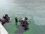 Водолазы Водолазы