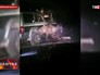 Машина сбила медведя Машина сбила медведя