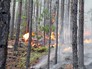 Лесные пожары Лесные пожары