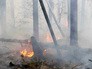 Лесные пожары Лесные пожары