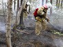 Борьба с лесными пожарами Борьба с лесными пожарами