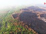 Последствия лесных пожаров Последствия лесных пожаров