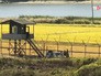 Граница Северной и Южной Кореи Граница Северной и Южной Кореи