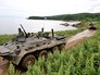 Десантные учения Десантные учения
