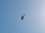 Истребитель Су-30СМ на авиакосмическом салоне МАКС-2015 Истребитель Су-30СМ на авиакосмическом салоне МАКС-2015