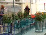 Пешеходная зона Пешеходная зона