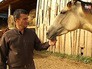 Хозяин коневодческой фермы Хозяин коневодческой фермы