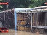 Наводнение в Приморском крае Наводнение в Приморском крае