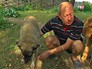 Мужчина застреливший собаку соседа Мужчина застреливший собаку соседа