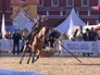 Выступление испанских наездников на фестивале "Спасская башня" Выступление испанских наездников на фестивале "Спасская башня"