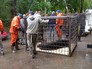 Затопленный зоопарк в Уссурийске Затопленный зоопарк в Уссурийске