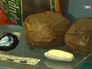 Молодежная антинаркотическая площадка Молодежная антинаркотическая площадка