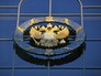Герб России Герб России