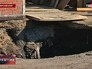 Яма в Приморском крае Яма в Приморском крае