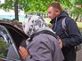 Задержание бабушки, бросившей камень в ребенка Задержание бабушки, бросившей камень в ребенка