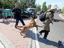 Венгерская полиция задерживает мигрантов Венгерская полиция задерживает мигрантов
