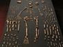 Останки Homo naledi Останки Homo naledi