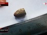 Раскопки на месте убийства царской семьи Романовых Раскопки на месте убийства царской семьи Романовых