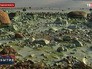 Цветущий Финский залив Цветущий Финский залив