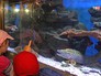 Посетители экзотариума в зоопарке Посетители экзотариума в зоопарке
