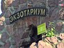 Экзотариум в Московском зоопарке Экзотариум в Московском зоопарке