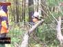 Последствие урагана на Сахалине Последствие урагана на Сахалине