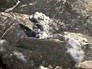 Авиаудары российских ВКС по позициям ИГ Авиаудары российских ВКС по позициям ИГ