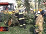 Последствие урагана в Сахалинской области Последствие урагана в Сахалинской области