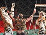 Дрессировщик тигров в цирке Дрессировщик тигров в цирке