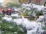 Снегопад Снегопад