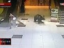 Скриншот с записи камеры видеонаблюдения Скриншот с записи камеры видеонаблюдения