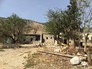 В деревне Саф-Сафа (провинция Хама), освобожденной сирийской армией В деревне Саф-Сафа (провинция Хама), освобожденной сирийской армией