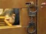 Дмитрий Милованов в суде Дмитрий Милованов в суде