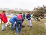 Благоустройство зелёных территорий Благоустройство зелёных территорий
