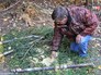 Подкормка для диких животных Подкормка для диких животных