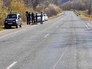 Инспекторы ДПС возле сбитого леопарда Инспекторы ДПС возле сбитого леопарда
