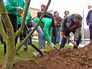 Участники "Активного гражданина" высаживают деревья Участники "Активного гражданина" высаживают деревья