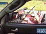 ДТП с участием "санитара леса" ДТП с участием "санитара леса"