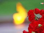 Возложение цветов в Александровском саду Возложение цветов в Александровском саду