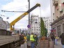 Высадка деревьев на Тверской улице Высадка деревьев на Тверской улице